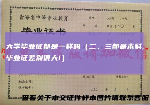 大学毕业证都是一样吗（二、三都是本科,毕业证差别很大!）