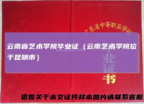 云南省艺术学院毕业证（云南艺术学院位于昆明市）