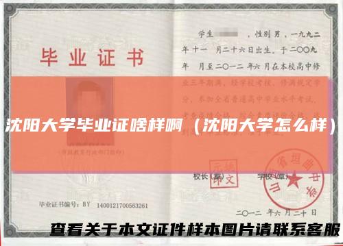 沈阳大学毕业证啥样啊（沈阳大学怎么样）