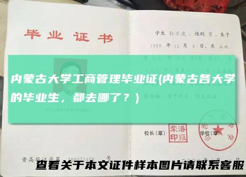 内蒙古大学工商管理毕业证(内蒙古各大学的毕业生，都去哪了？)