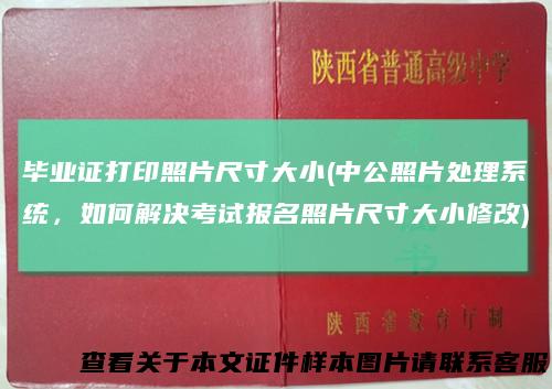 毕业证打印照片尺寸大小(中公照片处理系统，如何解决考试报名照片尺寸大小修改)