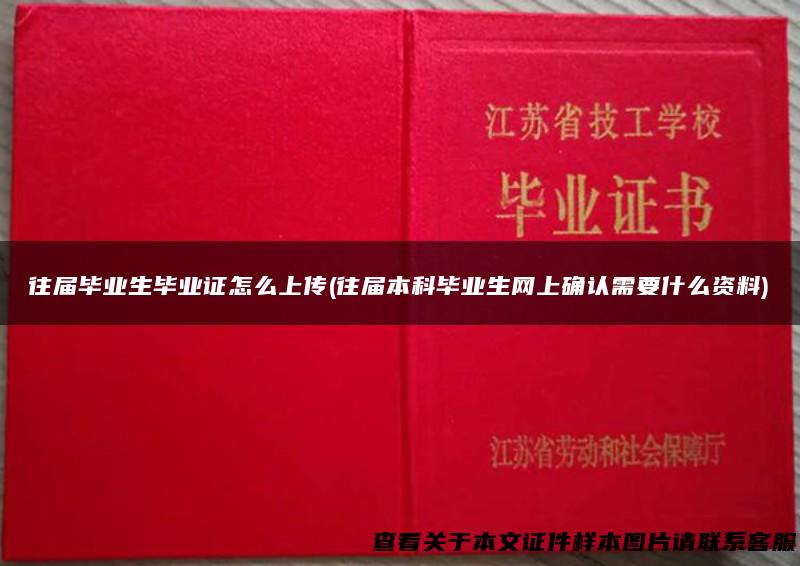 往届毕业生毕业证怎么上传(往届本科毕业生网上确认需要什么资料)