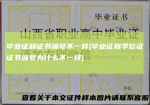 毕业证和证书编号不一样(毕业证和学位证证书编号为什么不一样)