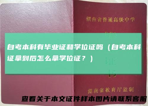 自考本科有毕业证和学位证吗（自考本科证拿到后怎么拿学位证？）