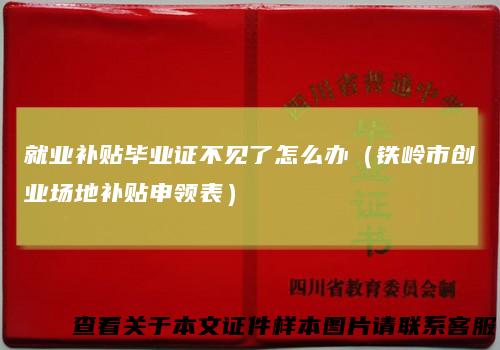 就业补贴毕业证不见了怎么办（铁岭市创业场地补贴申领表）