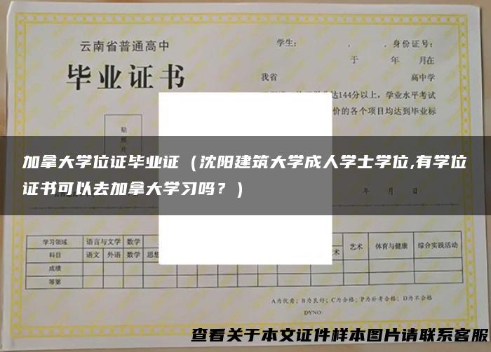 加拿大学位证毕业证（沈阳建筑大学成人学士学位,有学位证书可以去加拿大学习吗？）